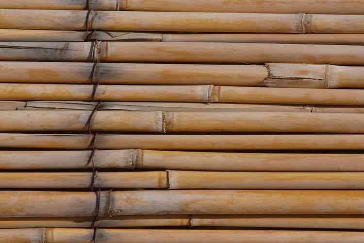 cómo limpiar objetos de bambú