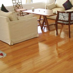Limpiar parquet