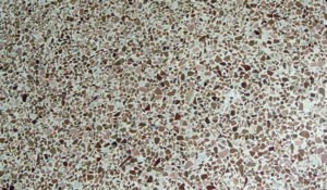Limpiar terrazo