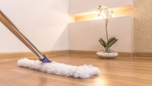 Fregar parquet