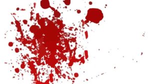 Cómo limpiar manchas de sangre